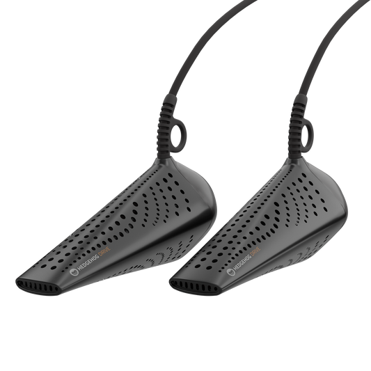 Hedgehog DRIVE - 12 volt for car