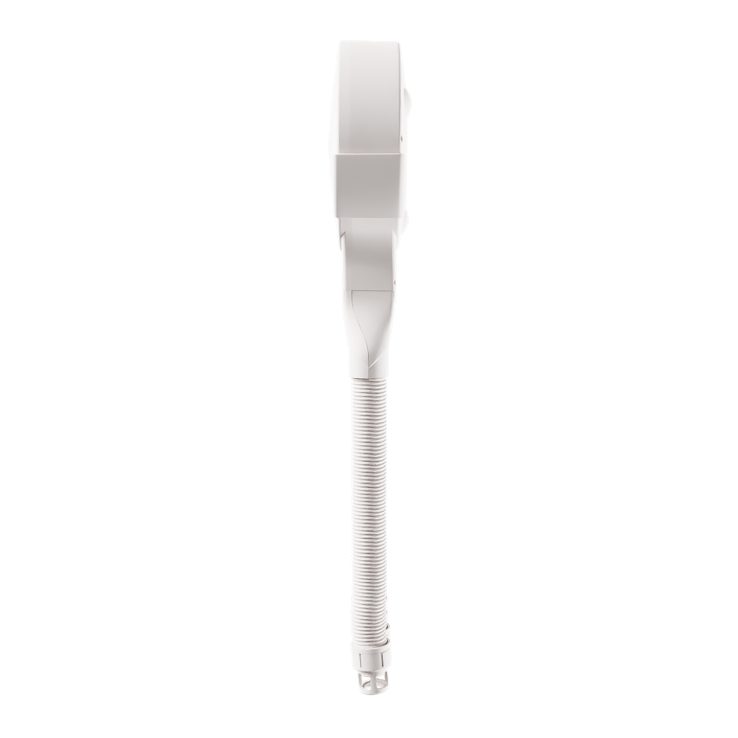 Octopus White