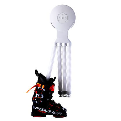 Octopus White
